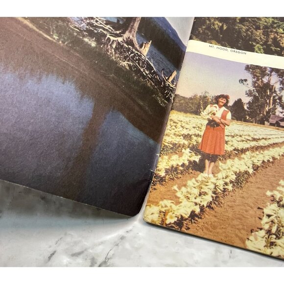 Pacific Pathways Pictorial Magazine Of The West May 1946 America Travel - Picture 3 of 11